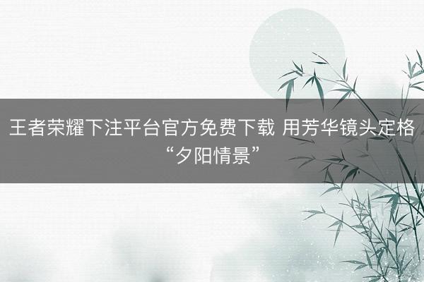 王者荣耀下注平台官方免费下载 用芳华镜头定格“夕阳情景”