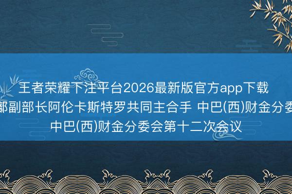 王者荣耀下注平台2026最新版官方app下载 廖岷与巴西财政部副部长阿伦卡斯特罗共同主合手 中巴(西)财金分委会第十二次会议