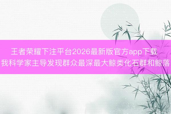 王者荣耀下注平台2026最新版官方app下载 我科学家主导发现群众最深最大鲸类化石群和鲸落