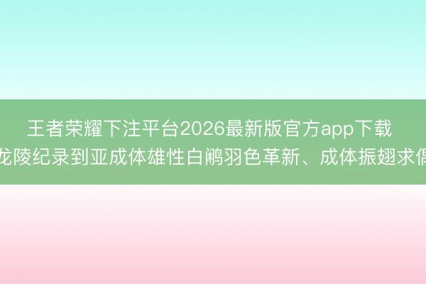 王者荣耀下注平台2026最新版官方app下载 龙陵纪录到亚成体雄性白鹇羽色革新、成体振翅求偶