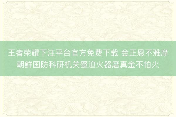 王者荣耀下注平台官方免费下载 金正恩不雅摩朝鲜国防科研机关蹙迫火器磨真金不怕火