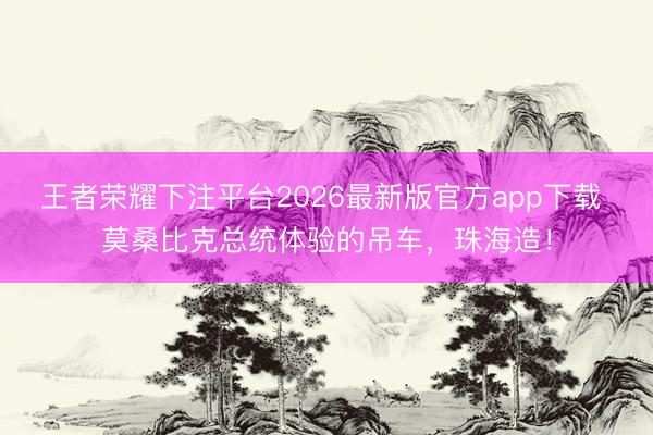 王者荣耀下注平台2026最新版官方app下载 莫桑比克总统体验的吊车，珠海造！
